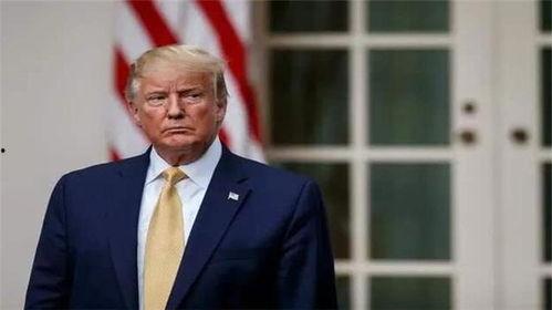 特朗普最新家族爆料图鉴,揭秘权力背后的家族秘密