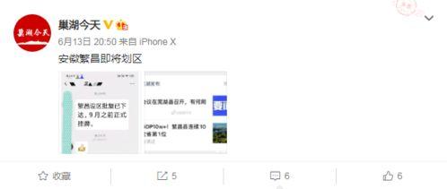 微博最新消息爆料,最新热点事件引发全网热议